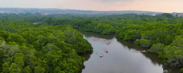 Cover image for バリ・マングローブ・カヌーツアーは満席に！