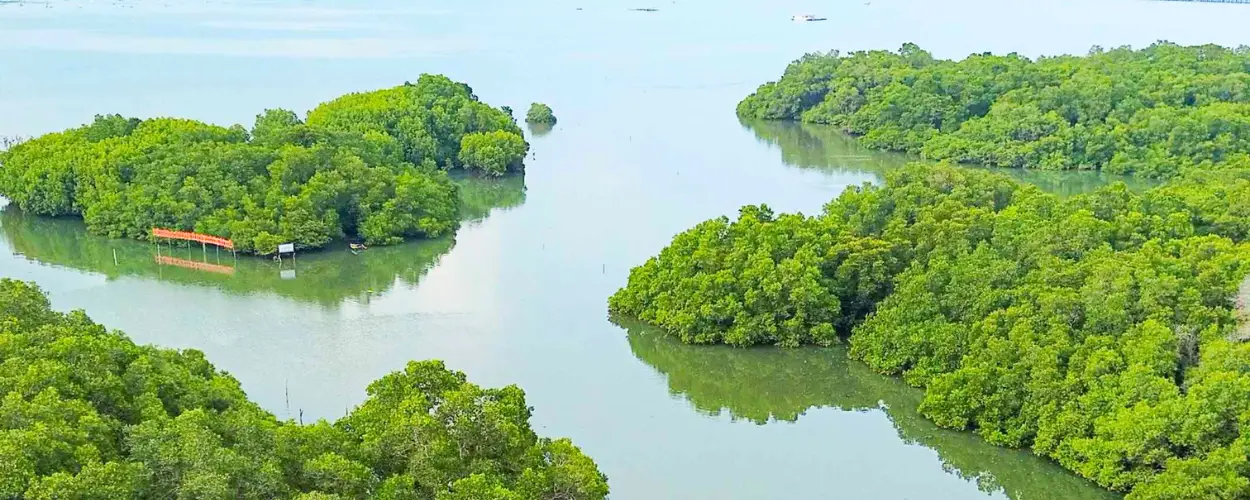 Cover image for バリ島2025年の持続可能な旅行トレンド