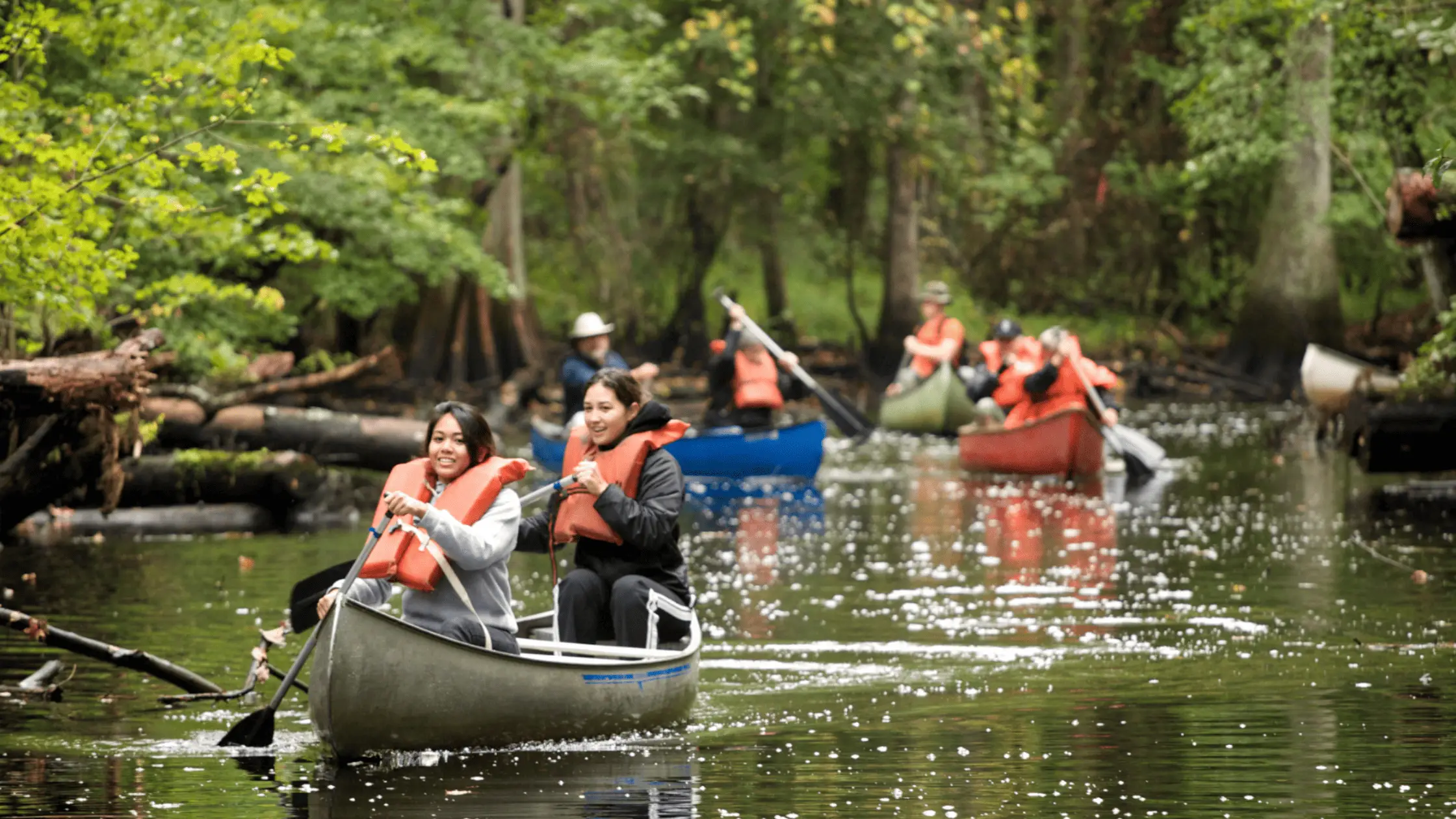 Cover image for バリのエコツーリズムと自然保護を支えるカヌーツアー