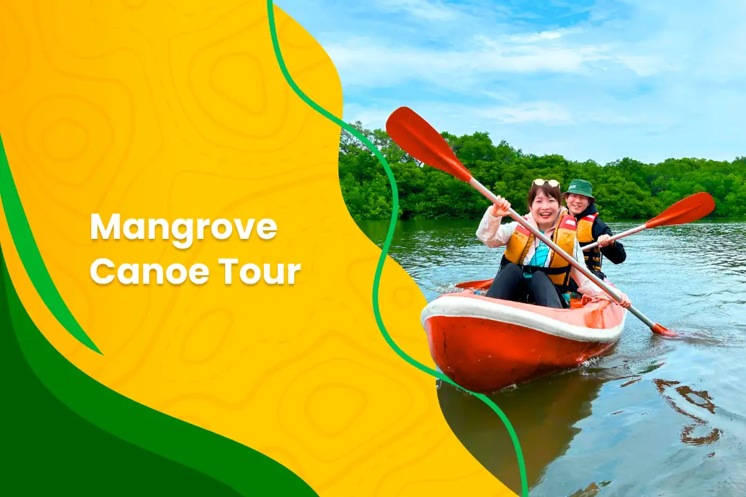 Mangrove Canoe Tour