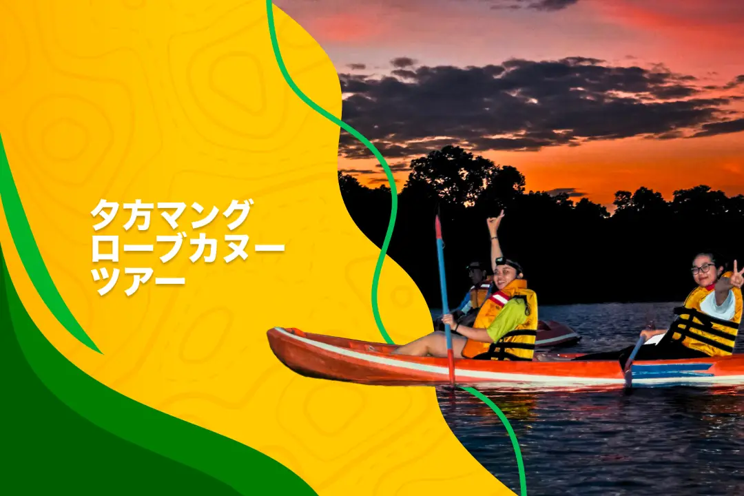 Evening Mangrove Canoe Tour