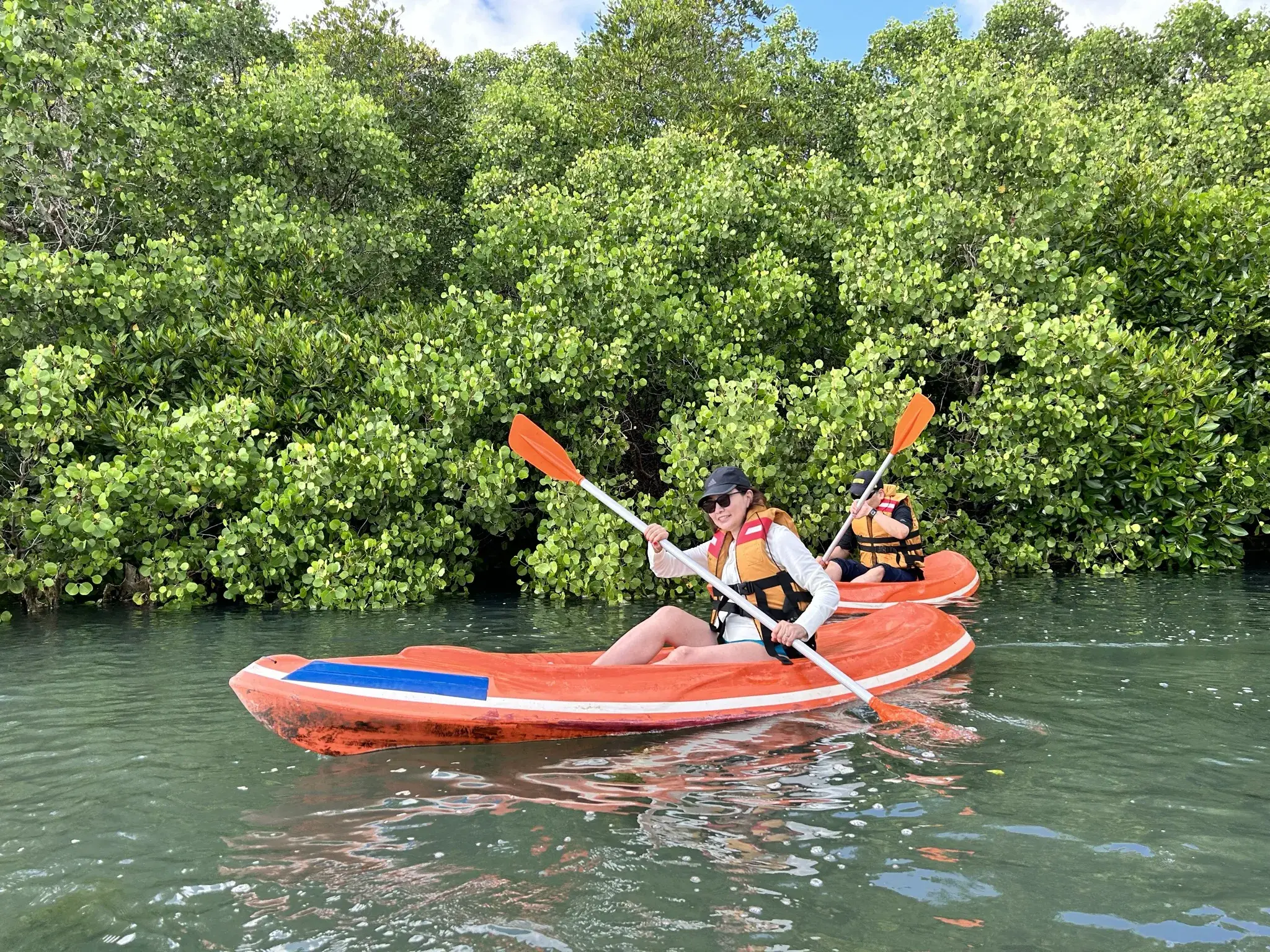 Expected カヌーを楽しみながら学ぶ︕マングローブの世界 - 1