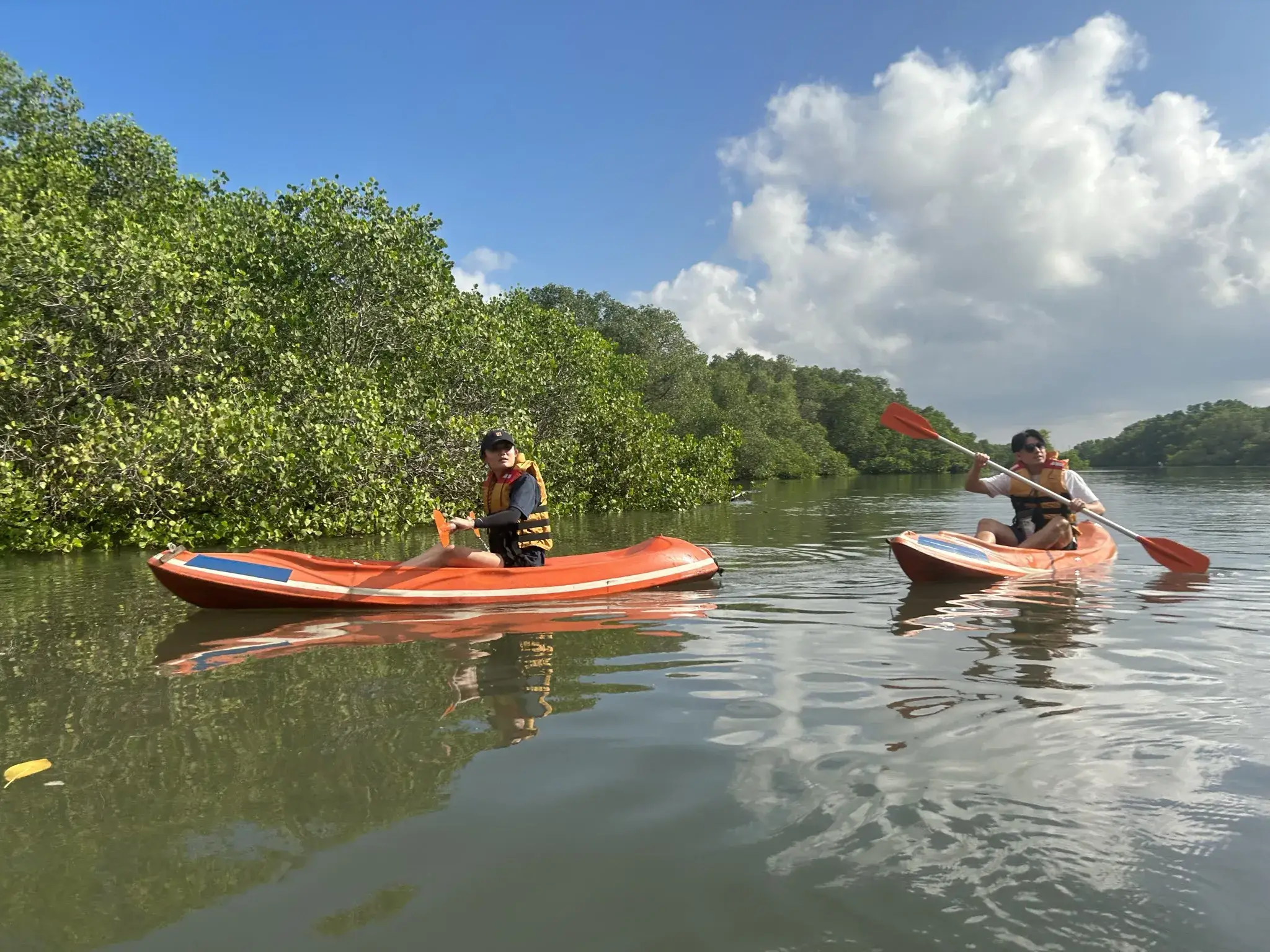 Expected カヌーを楽しみながら学ぶ︕マングローブの世界 - 4