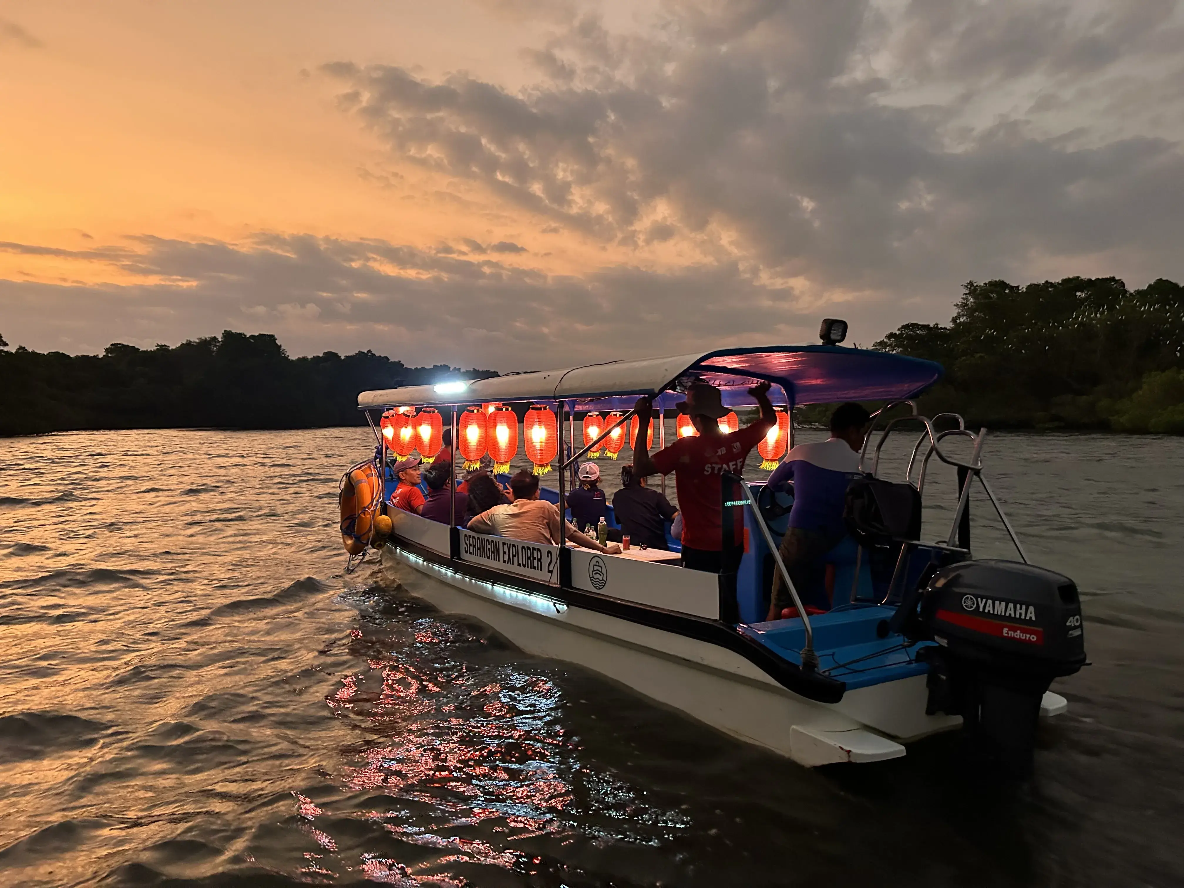 Expected <p dir="auto" style="white-space: pre-wrap;">マングローブ・ナイト・クルーズ</p> - 1