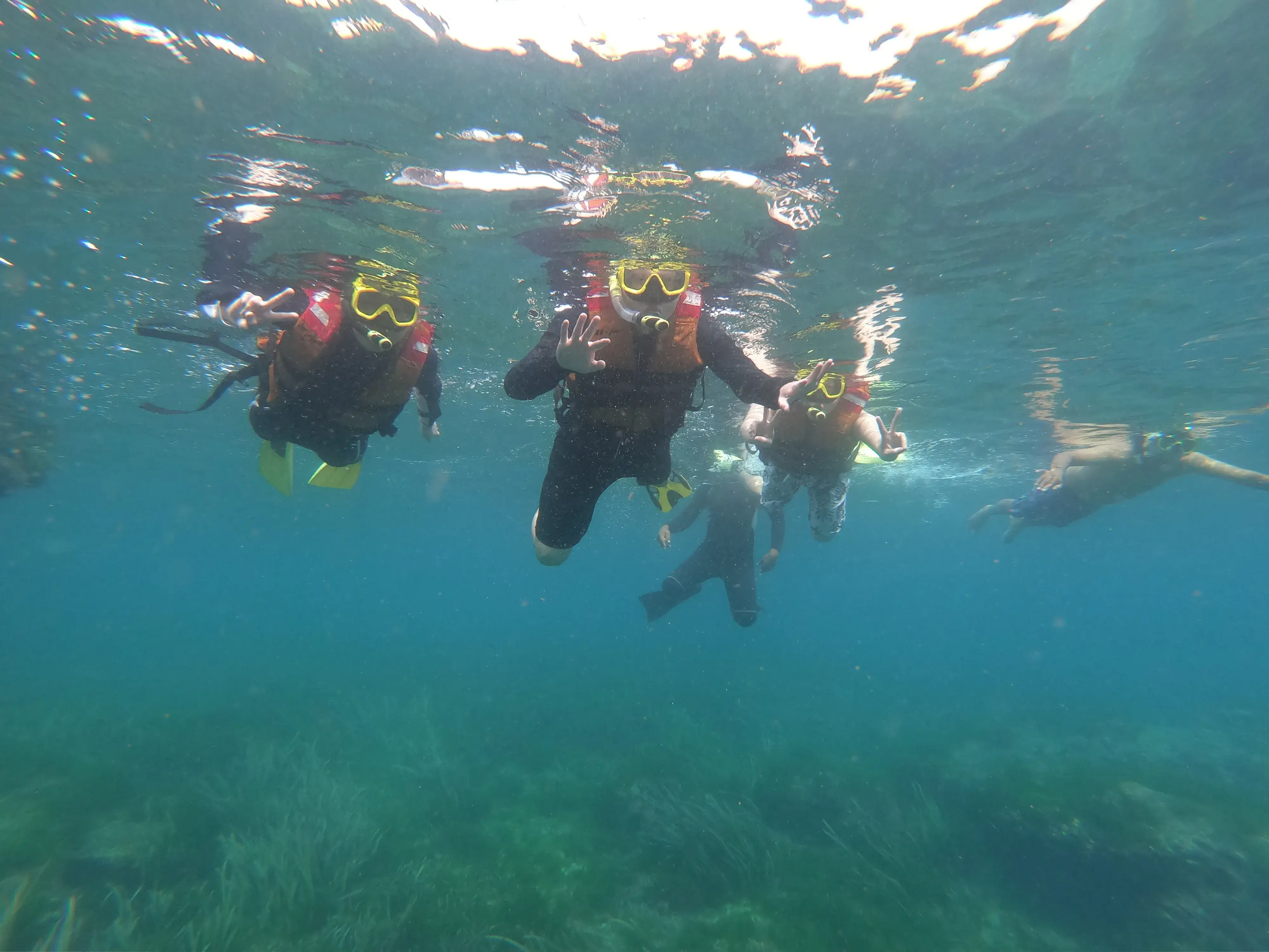 Expected グラスボトムで行くマングローブ＆シュノーケリング - 2