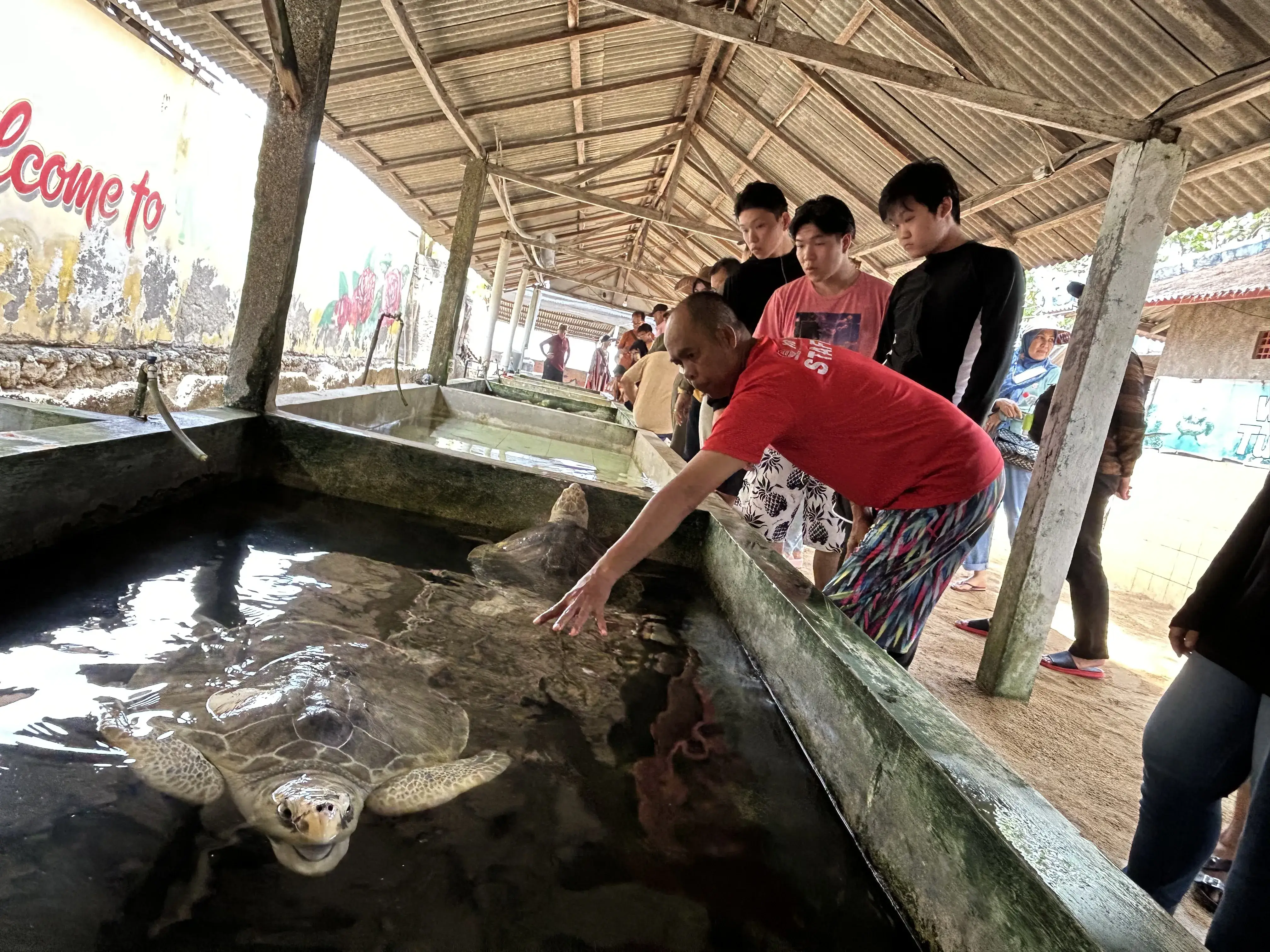 Expected グラスボトムで行くマングローブ＆シュノーケリング - 4