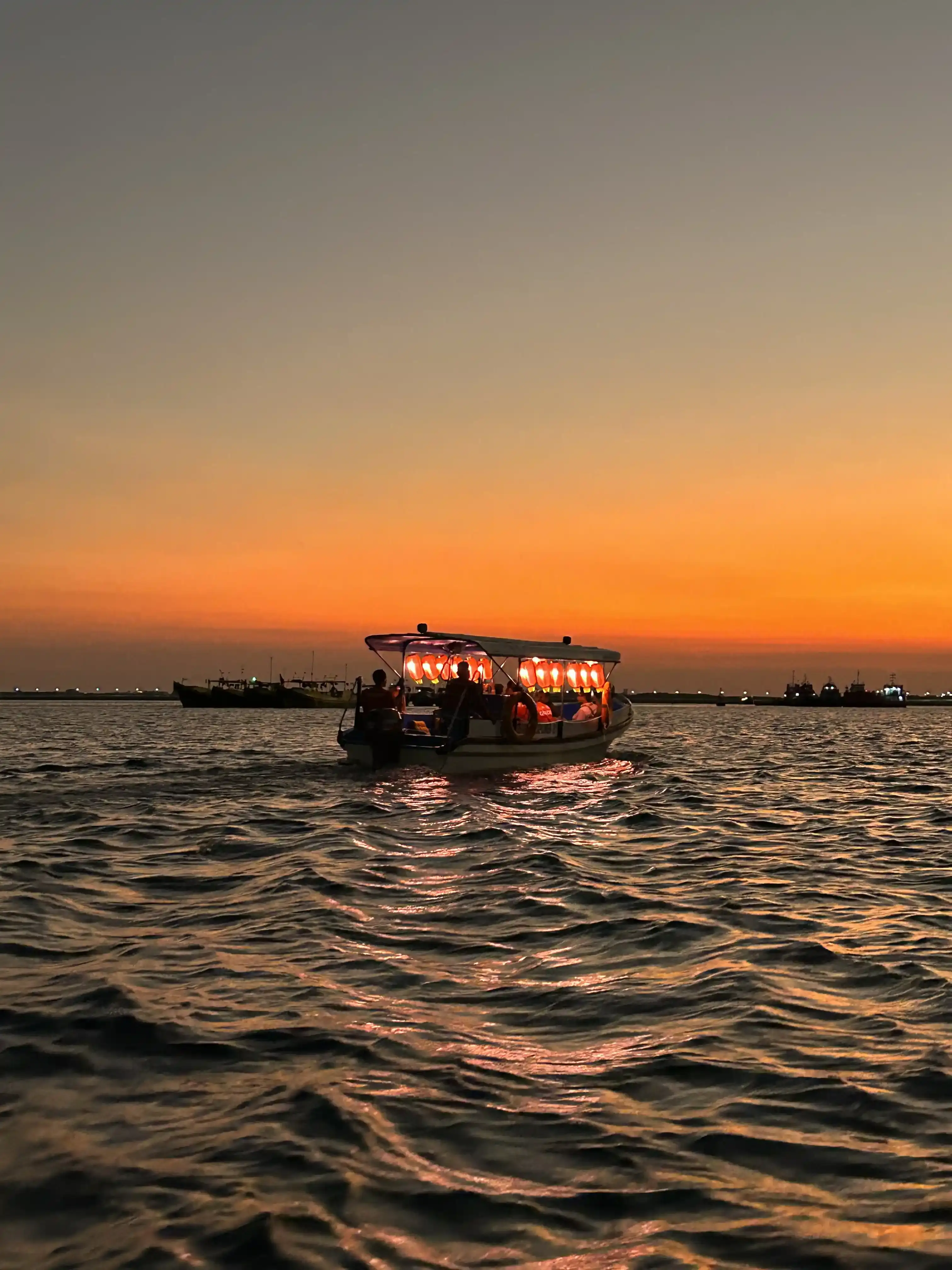 Gallery image <p dir="auto" style="white-space: pre-wrap;">マングローブ・ナイト・クルーズ</p> - 2