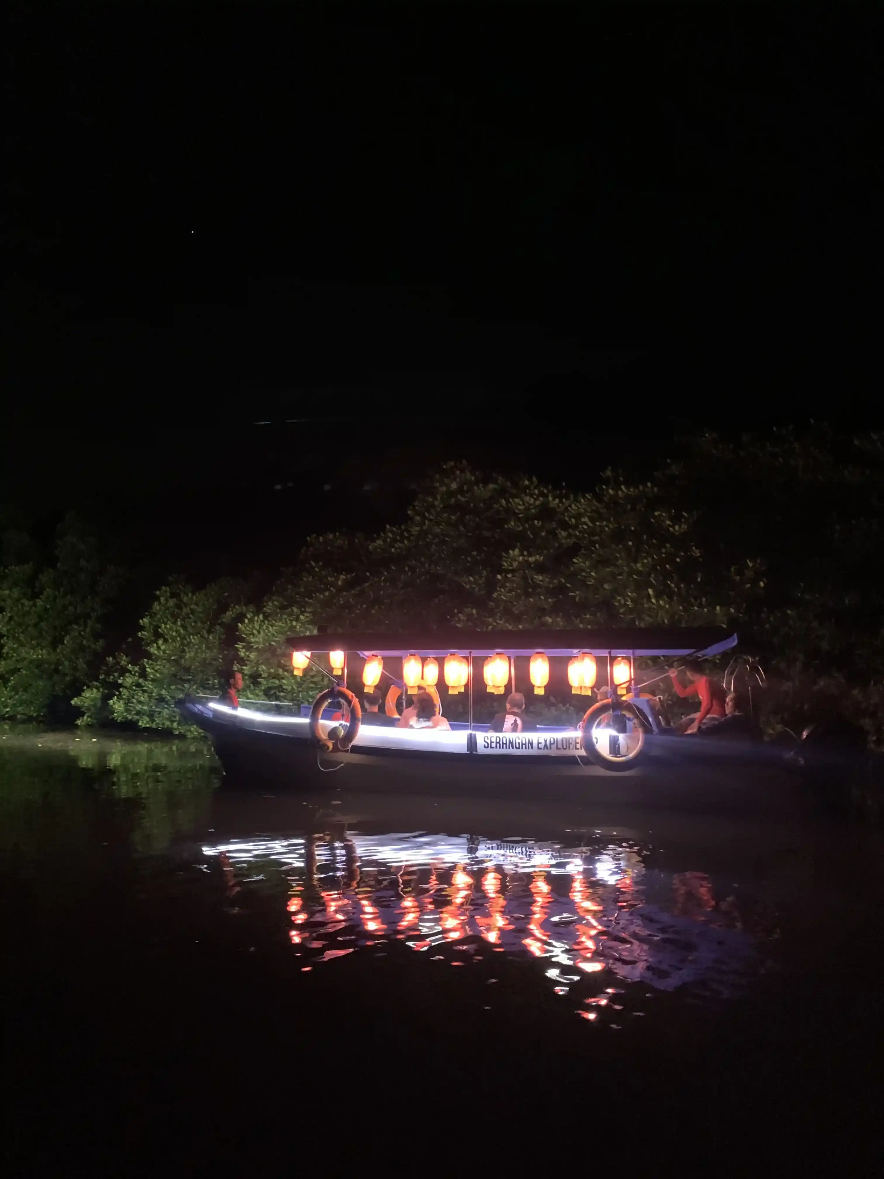 Gallery image <p dir="auto" style="white-space: pre-wrap;">マングローブ・ナイト・クルーズ</p> - 3