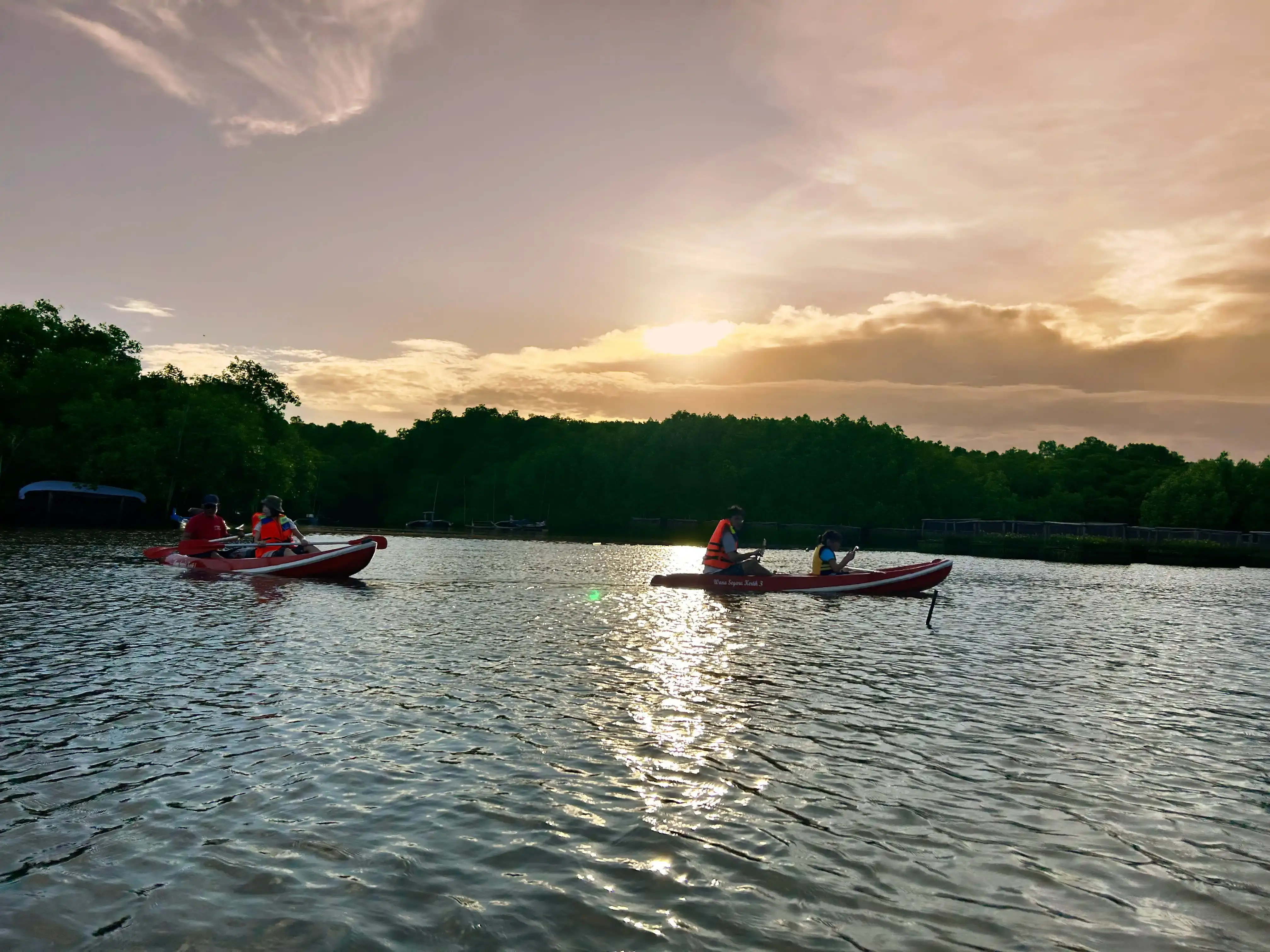 Gallery image イブニング・マングローブ・カヌー・ツアー - 2
