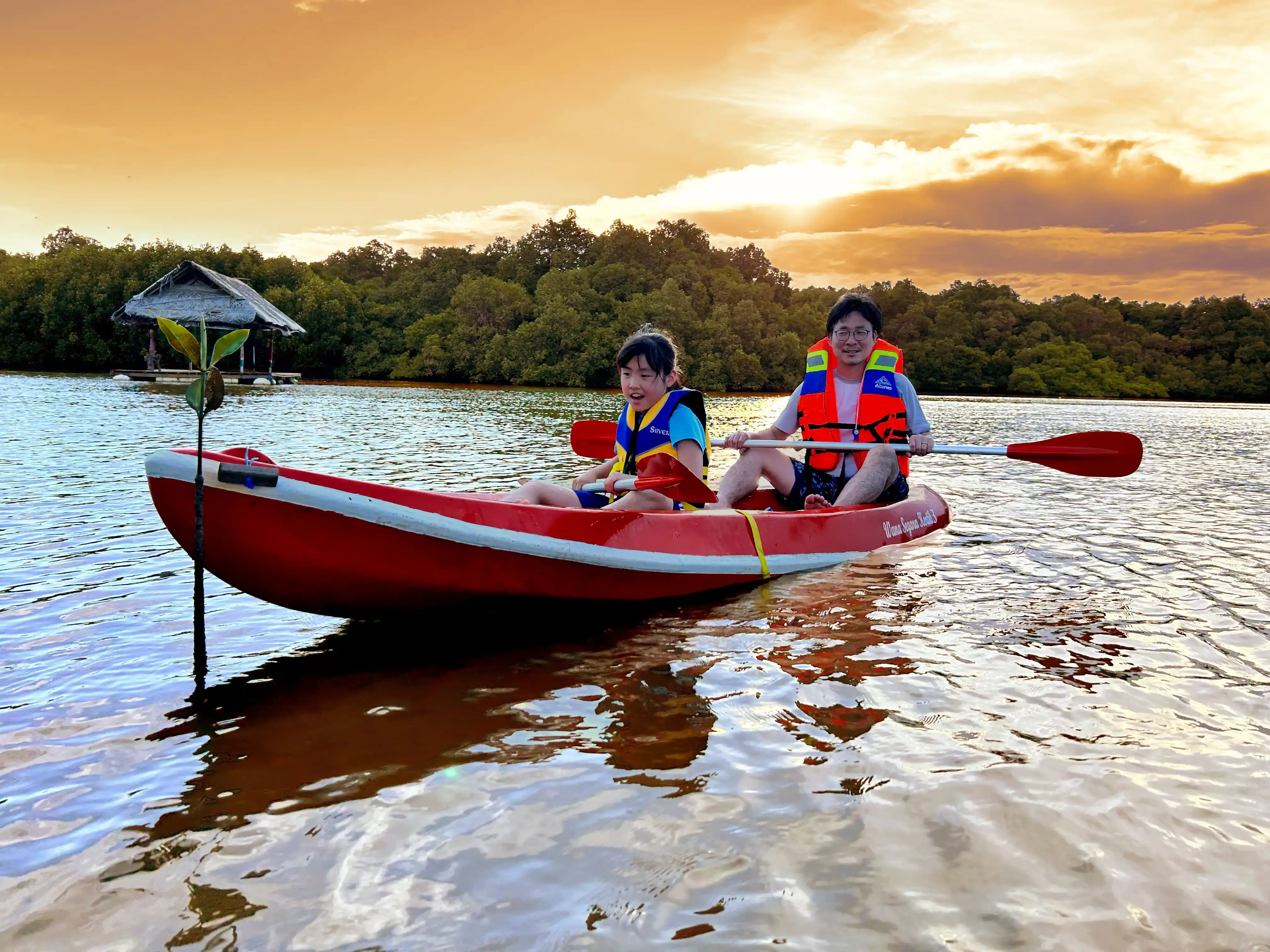 Gallery image イブニング・マングローブ・カヌー・ツアー - 3