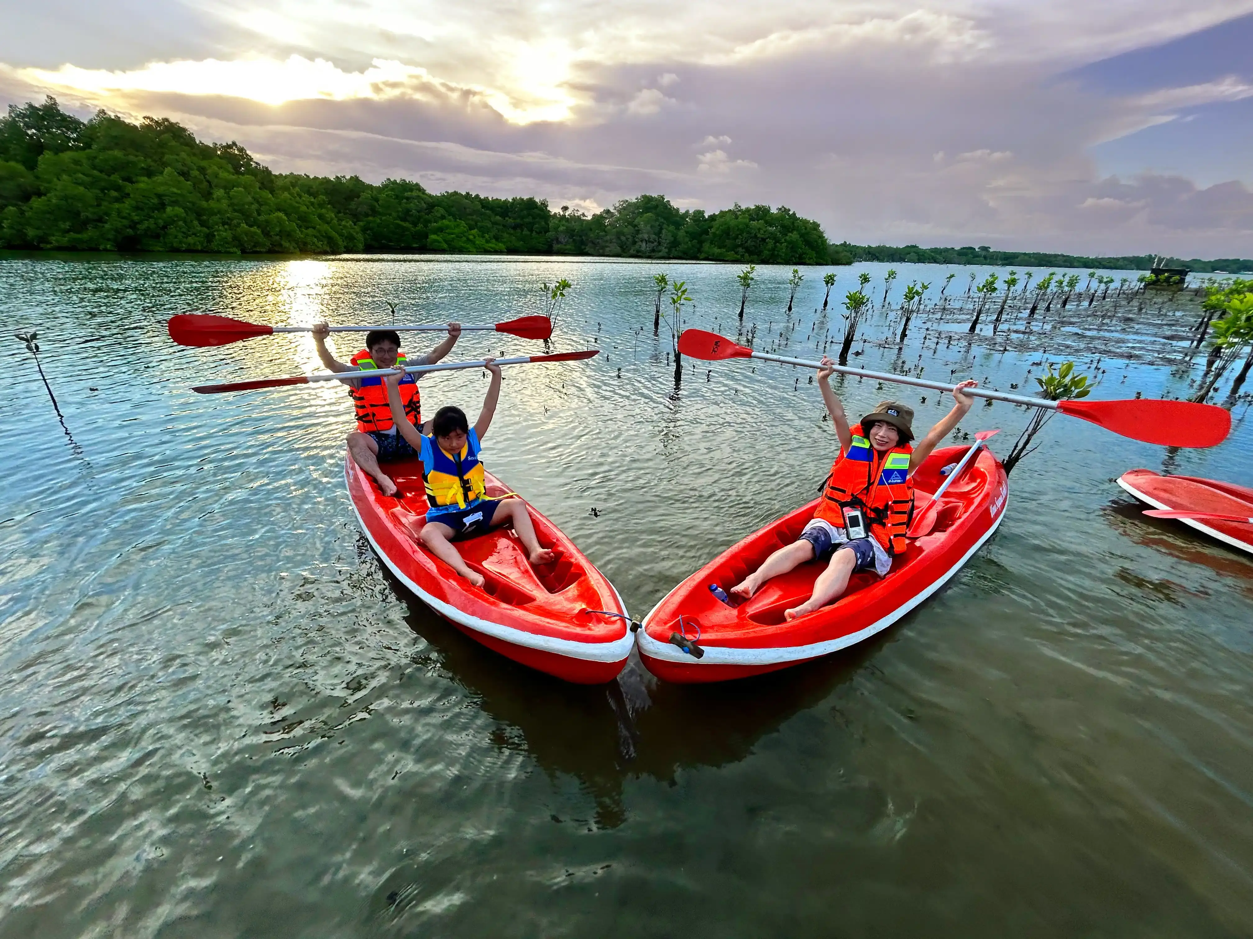 Gallery image イブニング・マングローブ・カヌー・ツアー - 3