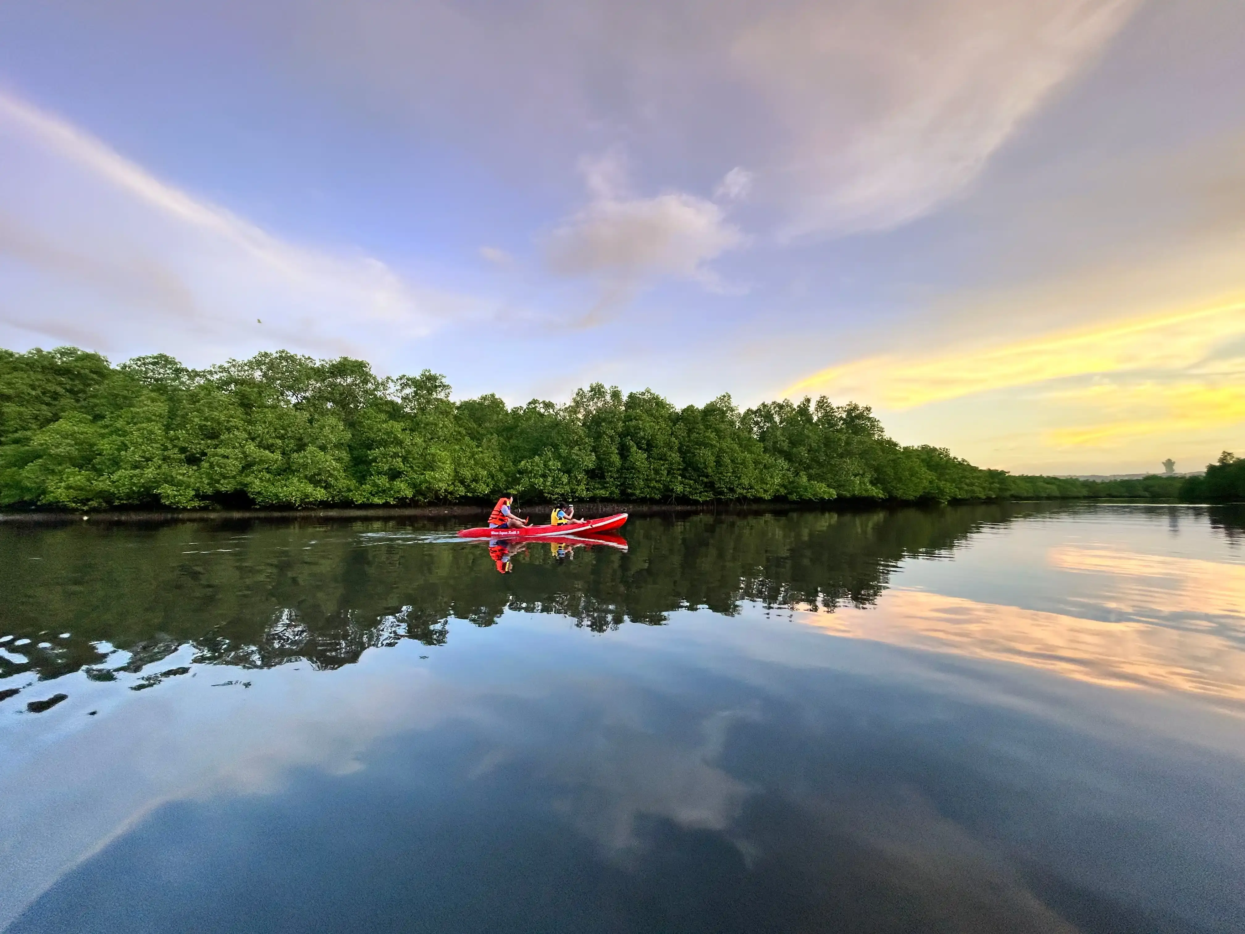 Gallery image イブニング・マングローブ・カヌー・ツアー - 4