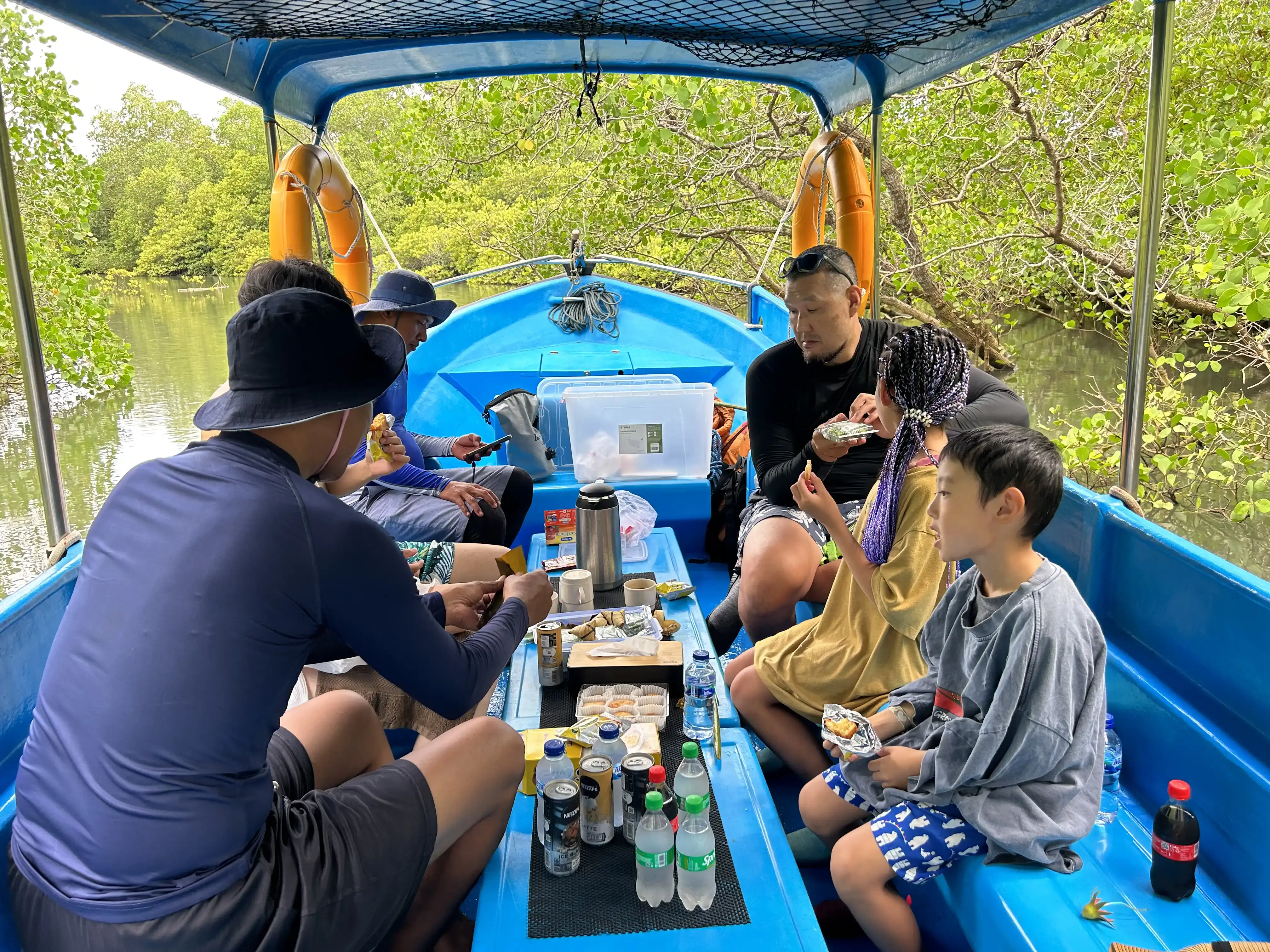 Gallery image グラスボトムで行くマングローブ＆シュノーケリング - 4