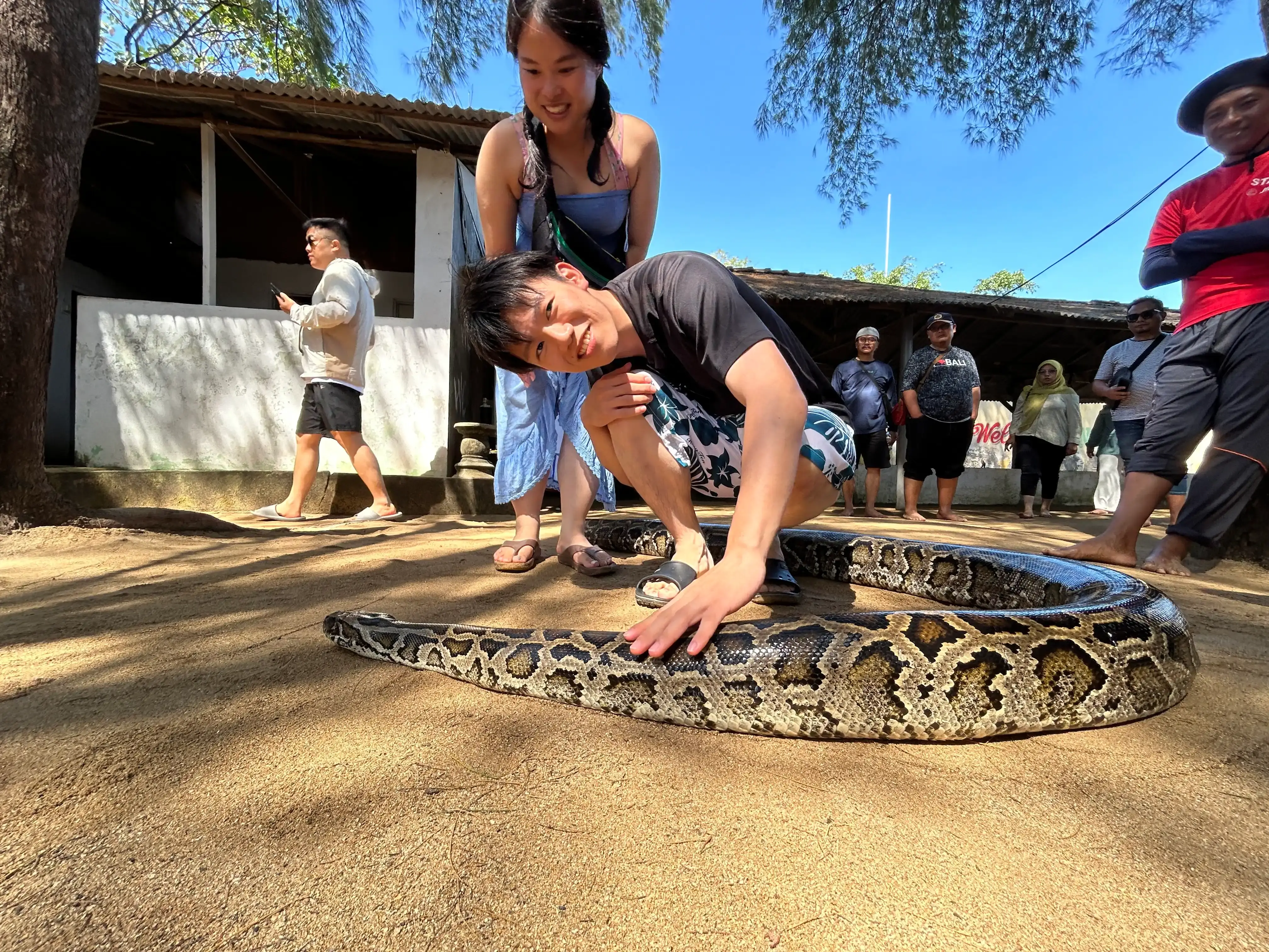 Gallery image グラスボトムで行くマングローブ＆シュノーケリング - 5