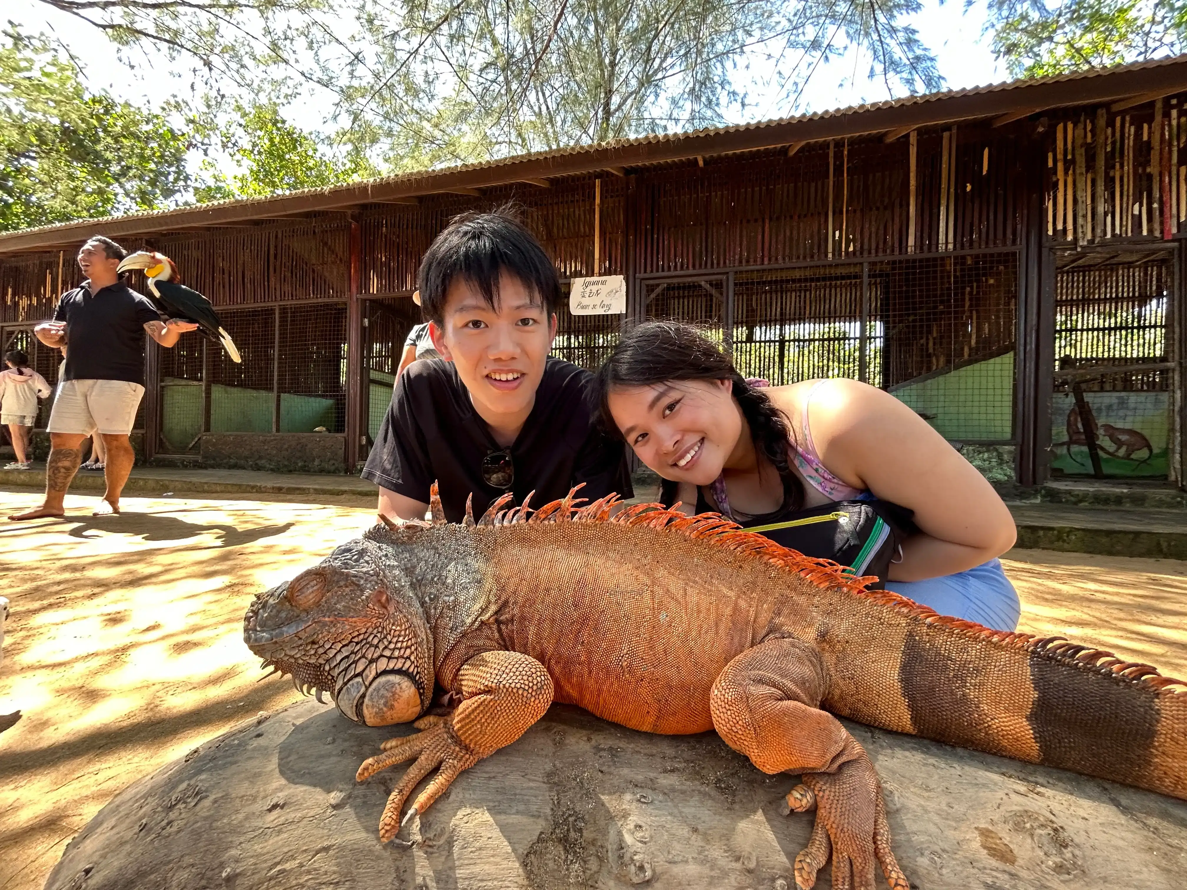 Gallery image グラスボトムで行くマングローブ＆シュノーケリング - 6