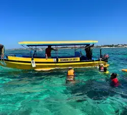 Gallery image グラスボトムで行くマングローブ＆シュノーケリング - 1