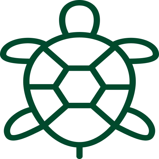 カメの島入場料