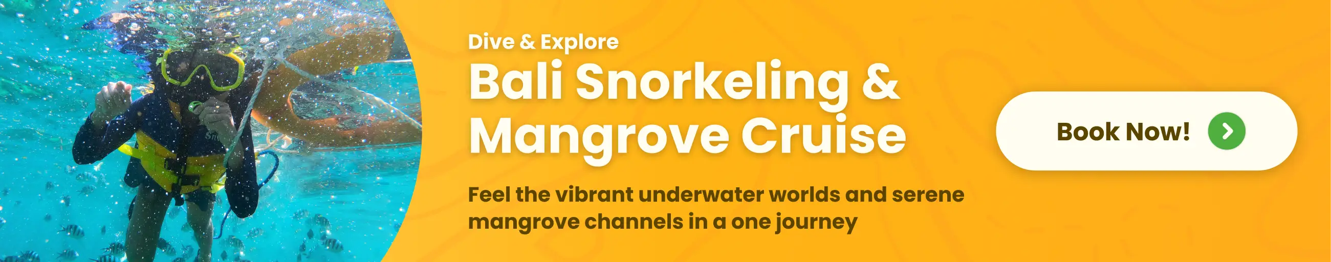bali tropical snorkeling & mangrove cruise