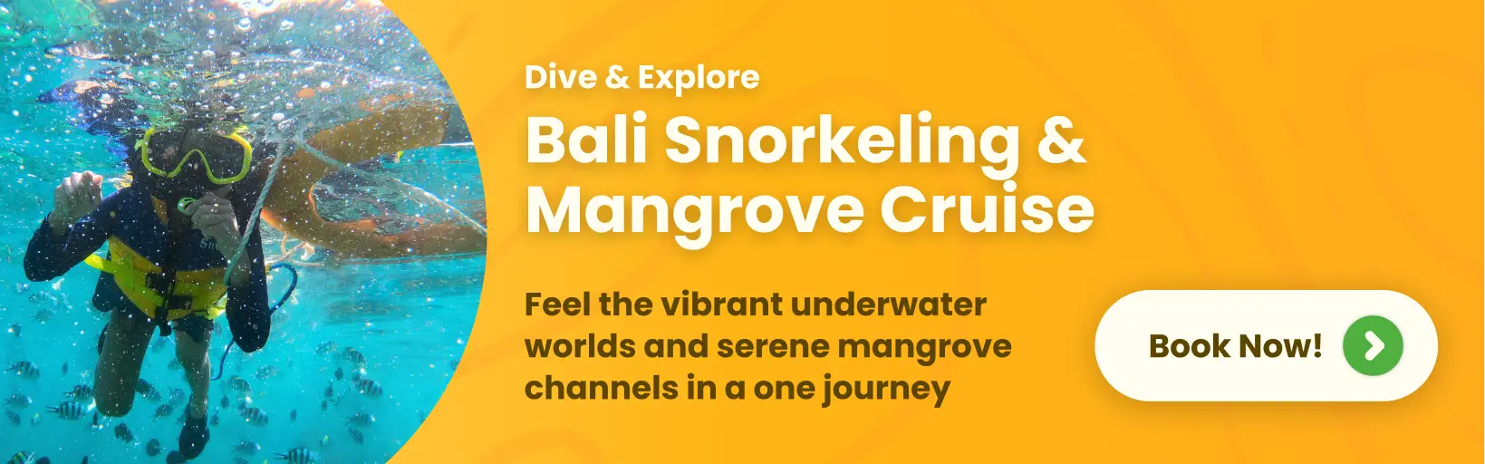 bali tropical snorkeling & mangrove cruise